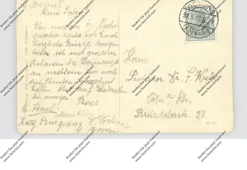 5372 GEMÜND, Urfttalsperre, Blick vom Wildbretshügel, 1912