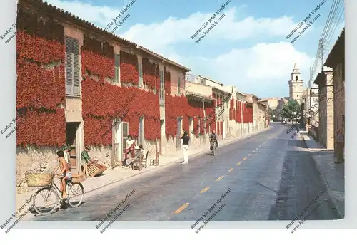 E 07320 SANTA MARIA / Mallorca, Secado de pimientos