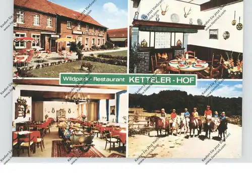 4358 HALTERN - LAVESUM, Ketteler Hof, Pferde