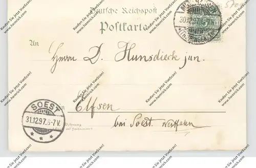 0-5700 MÜHLHAUSEN, Lithographie 1897, Popperode, Ober- und Untermarktkirche, Weisses Haus, Gesamtansicht