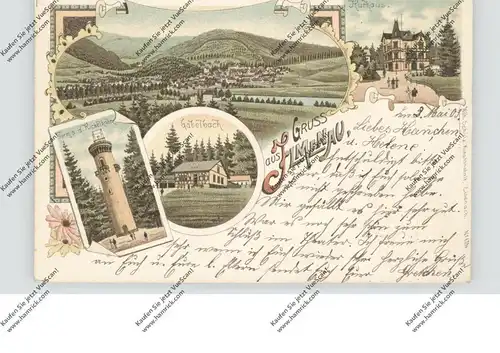 0-6300 ILMENAU, Lithographie, Kurhaus, Kickelhahn, Gabelbach, Gesamtansicht