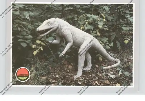 TIERE - PRÄHISTORISCH, Kleinwelka, Saurierpark, Hesperosuchus