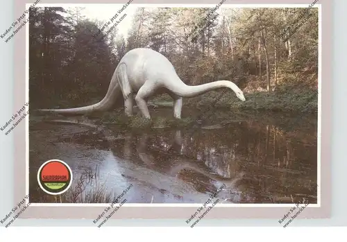 TIERE - PRÄHISTORISCH, Kleinwelka, Saurierpark, Diplodocus