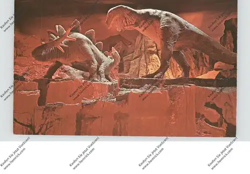 TIERE - PRÄHISTORISCH, DISNEYLAND, Stegosaurus / Tyrannosaurus