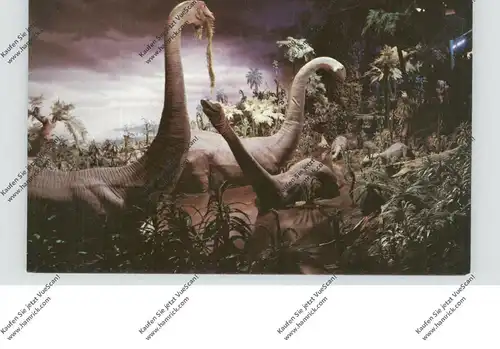 TIERE - PRÄHISTORISCH, DISNEYLAND, Brontosauri