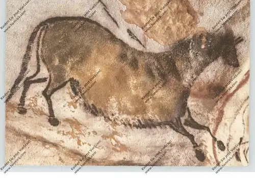 TIERE - PRÄHISTORISCH, MONTIGNAC-sur-Vezere, Horse