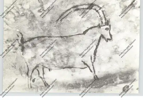 TIERE - PRÄHISTORISCH, ROUFFIGNAC, Bouquetin
