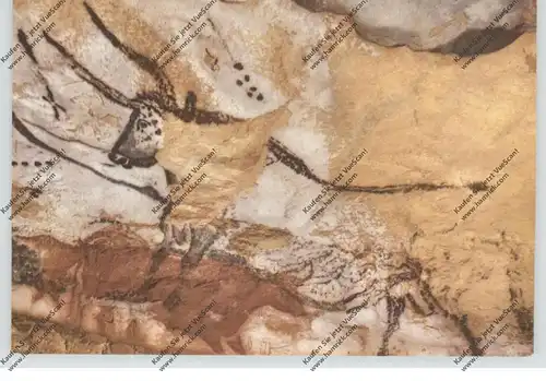TIERE - PRÄHISTORISCH, MONTIGNAC-sur-Vezere, Taureau