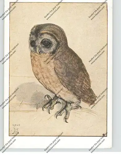 VÖGEL - EULEN / Owls / Buho / Hibou / Uil / Gufo - EULE, Künstlerkarte Albrecht Dürer, kl. Druckstelle