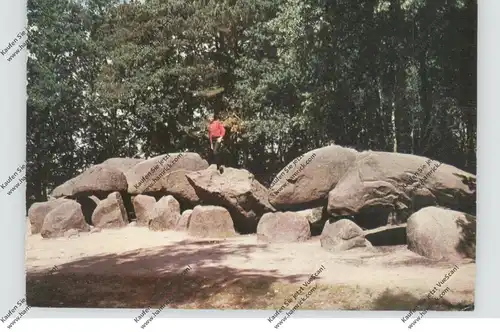 HÜNENGRAB / DOLMEN / MENHIR - Borger / NL