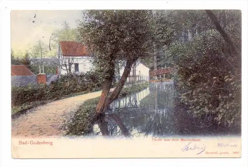 5300 BONN - BAD GODESBERG - SCHWEINHEIM, Partie aus dem Marienforst, 1906