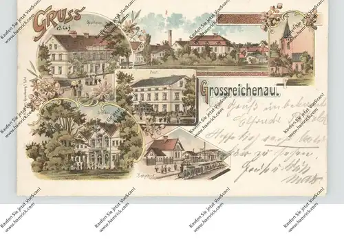 NIEDER - SCHLESIEN - NAUMBURG Bober - GROSSREICHENAU (Lebus), Lithographie, Bahnhof, Gasthaus, Schloss, Post...