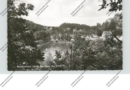 5378 BLANKENHEIM, Blick über den See, 1966