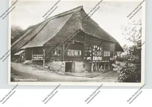 LANDWIRTSCHAFT - Bauernhaus im Schwarzwald