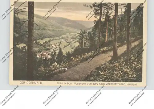 6935 WALDBRUNN - WALDKATZENBACH, Blick in den Höllgrund