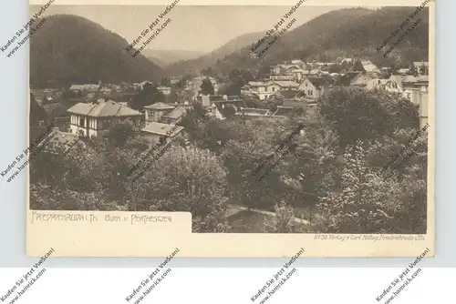 0-5804 FRIEDRICHRODA, Blick vom Perthesweg, 1906