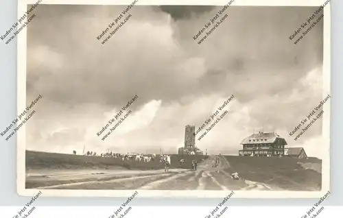 7828 FELDBERG, Stimmungsbild, Kuhherde, 1946