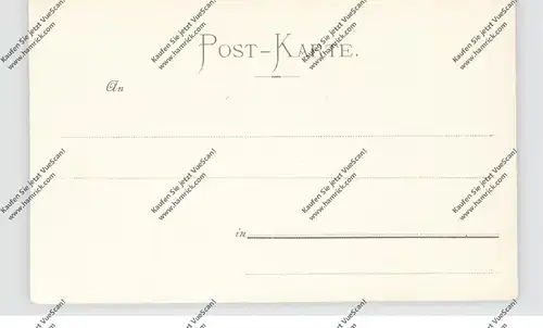 6931 ZWINGENBERG, Schloß und Ort am Neckar, Neckarfähre, ca. 1900