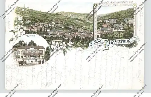 0-6303 BAD ELGERSBURG, Lithographie 1896, Kurhaus, Kuranstalt, Gesamtansicht