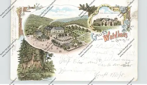 0-6604 MOHLSDORF - WALDHAUS, Lithographie 1898, Gaststätte Waldhaus, Fürstl. Jagdschloss Ida-Waldhaus