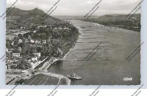 5330 KÖNIGSWINTER - NIEDERDOLLENDORF, Luftaufnahme, Rheinfähre nach Godesberg, Binnenschiffe, 1959