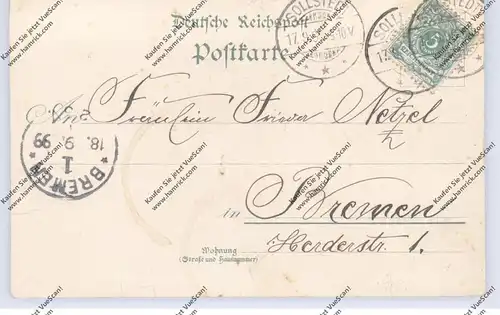 0-5507 SOLLSTEDT - REHUNGEN, Lithographie 1899, Gastwirtschaft Stolze, Oberförsterei, Schule, Kirche, kl. Einriss