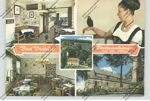 3490 BAD DRIBURG, Sachsenklause