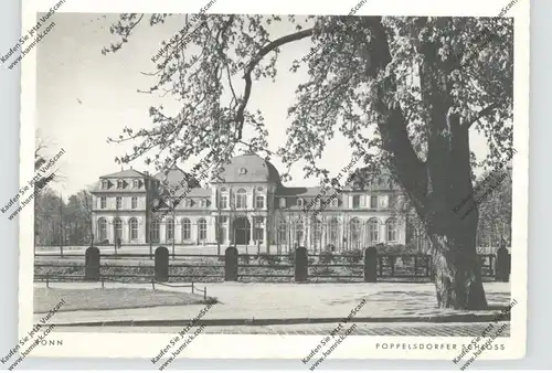 5300 BONN - POPPELSDORF, Poppelsdorfer Schloß, 1955