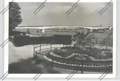 5300 BONN, Rheinufer, Rheinbrücke, 1950