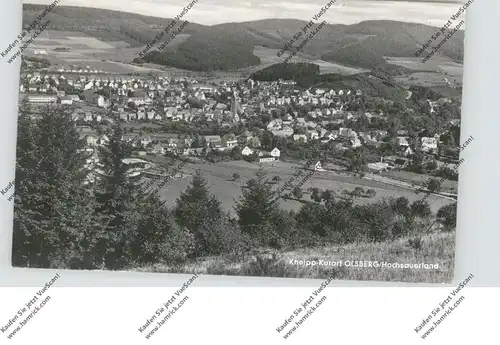 5787 OLSBERG, Gesamtansicht