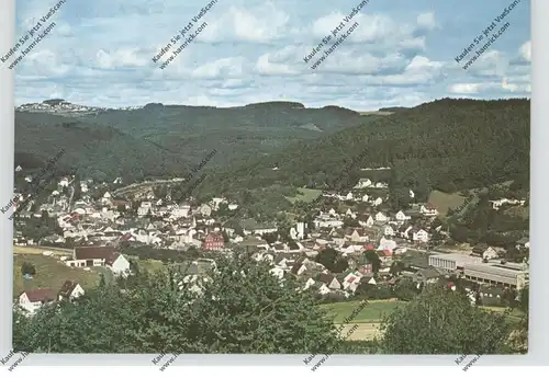 5488 ADENAU, Gesamtansicht