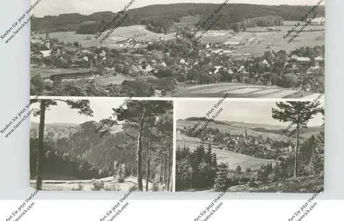 0-6860 WURZBACH, Mehrbild-AK 1959, kl. Einriss