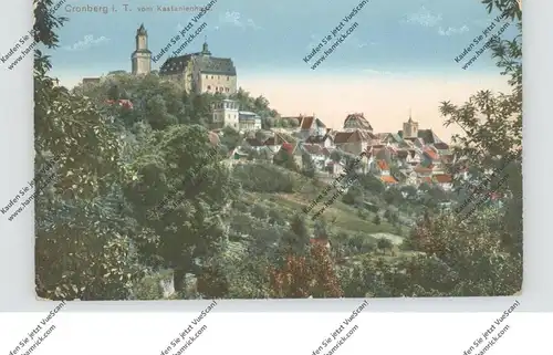 6242 KRONBERG, Blick vom Kastanienhain, 1919