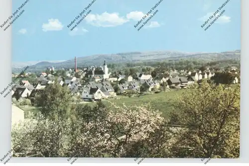 5787 OLSBERG - BRUCHHAUSEN, Ortsansicht