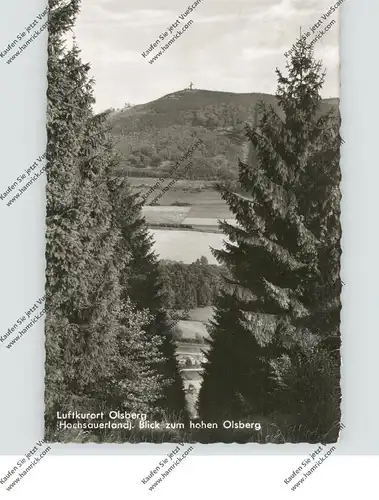 5787 OLSBERG, Blick vom hohen Olsberg, 1961