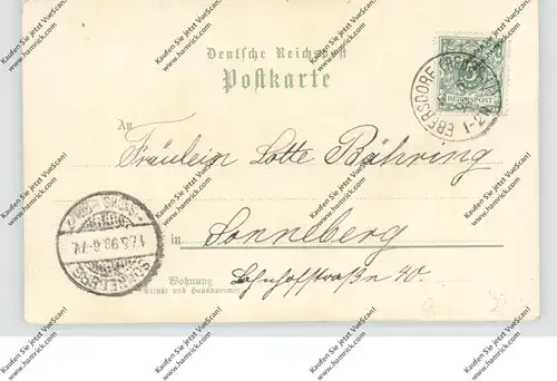 0-6850 BAD LOBENSTEIN, Lithographie 1898, Neuhammer, Waidmannsheil, Gottliebsthal, 7 Ansichten