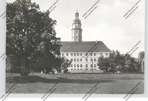 0-4603 BAD SCHMIEDEBERG - REINHARZ, Genesungsheim Freundschaft