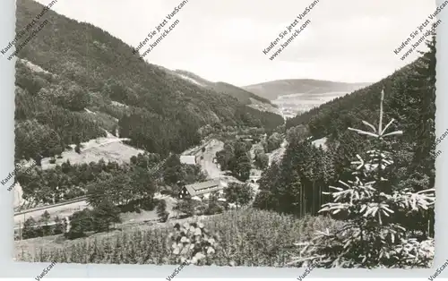 5787 OLSBERG - STEINHELLE, Blick auf Olsberg