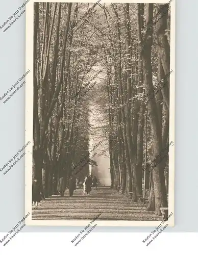 4000 DÜSSELDORF, Hofgarten, Seufzerallee, 1932