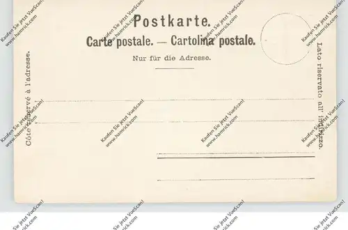 CH 6452 SISIKON UR, Tells Kapelle, Mondscheinkarte, ca. 1900