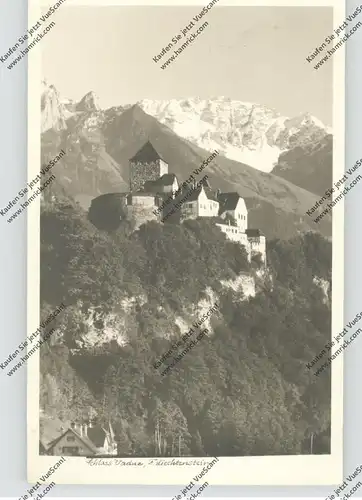 FL 9490 VADUZ, Schloss, Photo Buck - Schaan