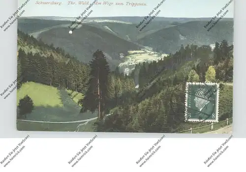 0-6825 SCHWARZBURG, Am Wege zum Trippstein, 1928