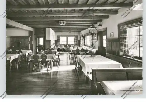 8965 WERTACH, Schimmelreiter, 1959