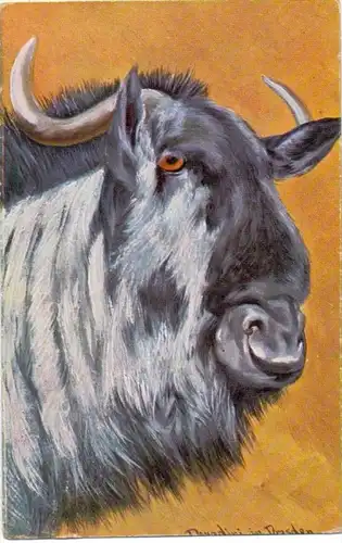 KÜNSTLER - ARTIST - ANTONIO DONADINI - GNU