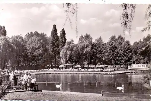 4630 BOCHUM - WATTENSCHEID, Stadtpark, 1956