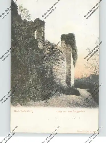 5300 BONN - BAD GODESBERG - Partie aus dem Burggraben, 190...
