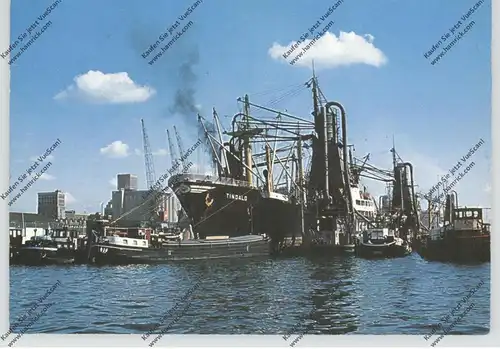 OZEANSCHIFFE - Fracht, M.S. "TINDALO", Hafen Rotterdam