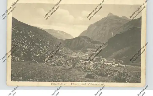 N 5745 AURLAND - FLAMSDALEN, Flaam med  Vidmesnaasi