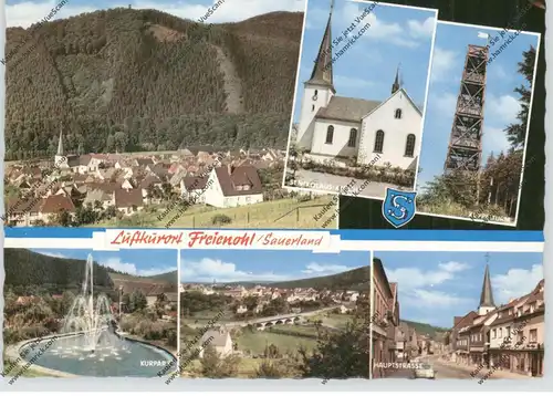 5778 MESCHEDE - FREIENOHL, Mehrbild-AK, Stadtwappen