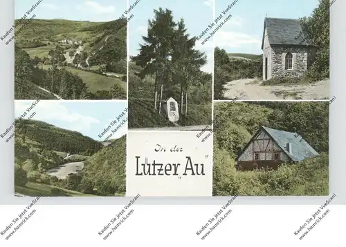 5590 COCHEM - LÜTZ, Lützer Au